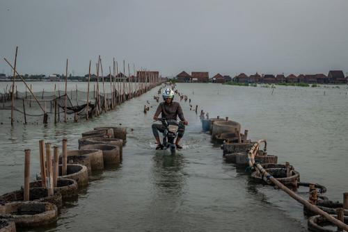 Aji Styawan, Bicara Lingkungan dengan Karya Foto yang Mendunia